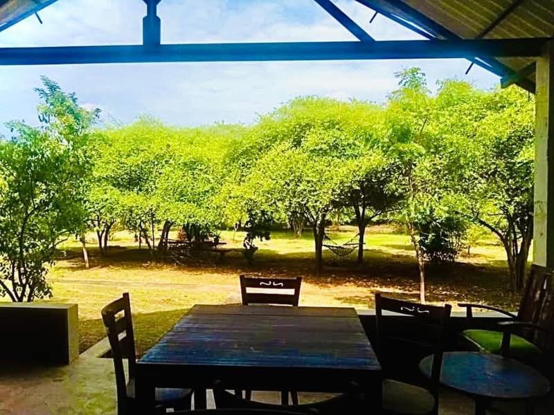 Bed and Breakfast Thihawa Eco Huts Yala à Tissamaharama Extérieur photo